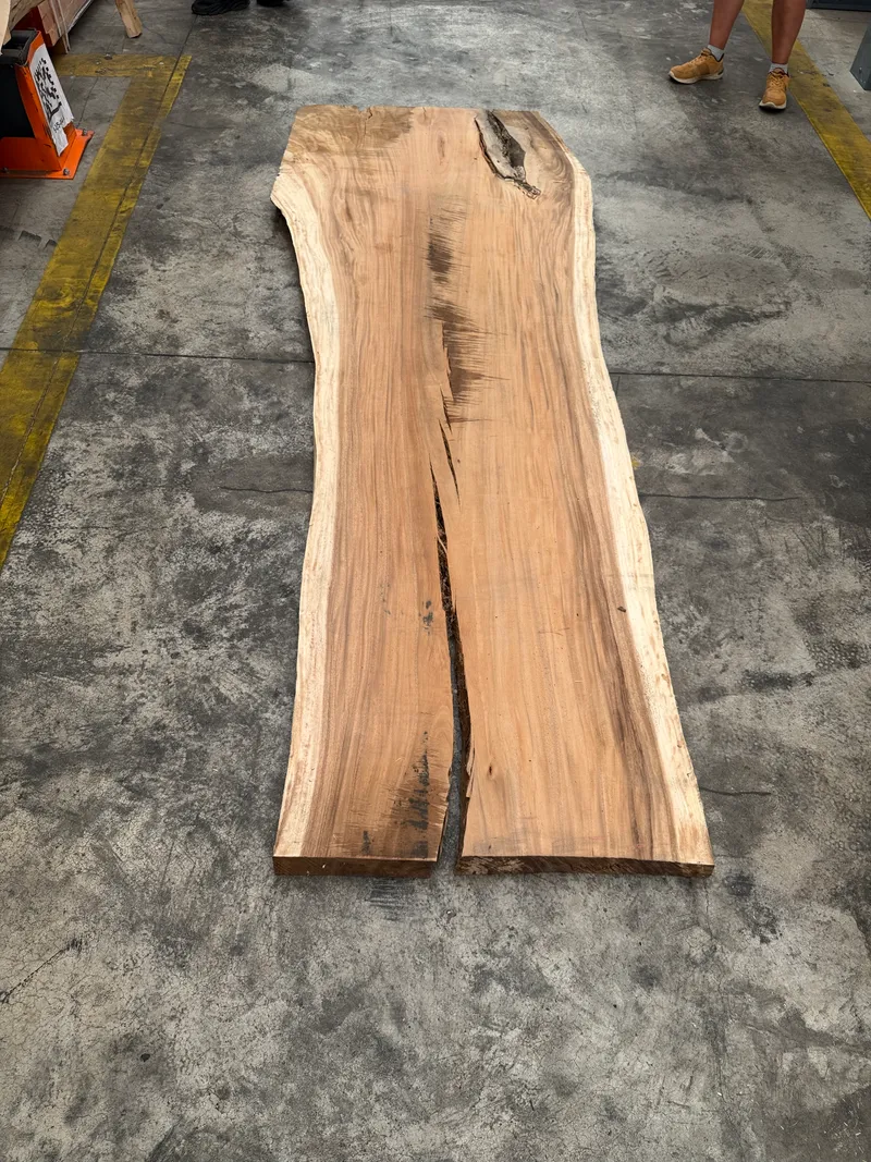 Dining Table Slab — 3.10 m Saman, Pale Figured Live Edge