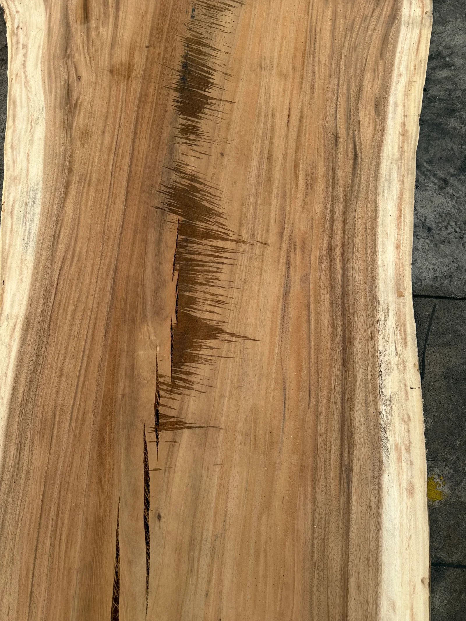 End grain view of the Saman slab showing thickness, natural variation, and live-edge profile.