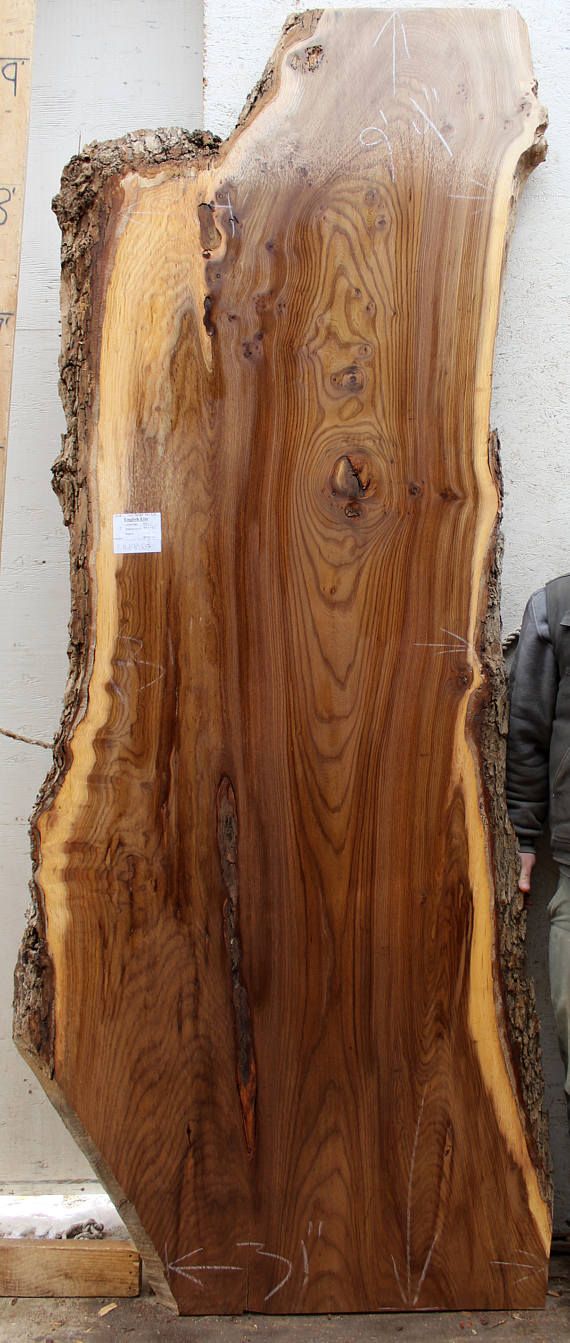 English Elm grain