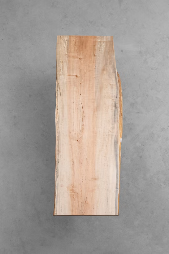 Sycamore Maple