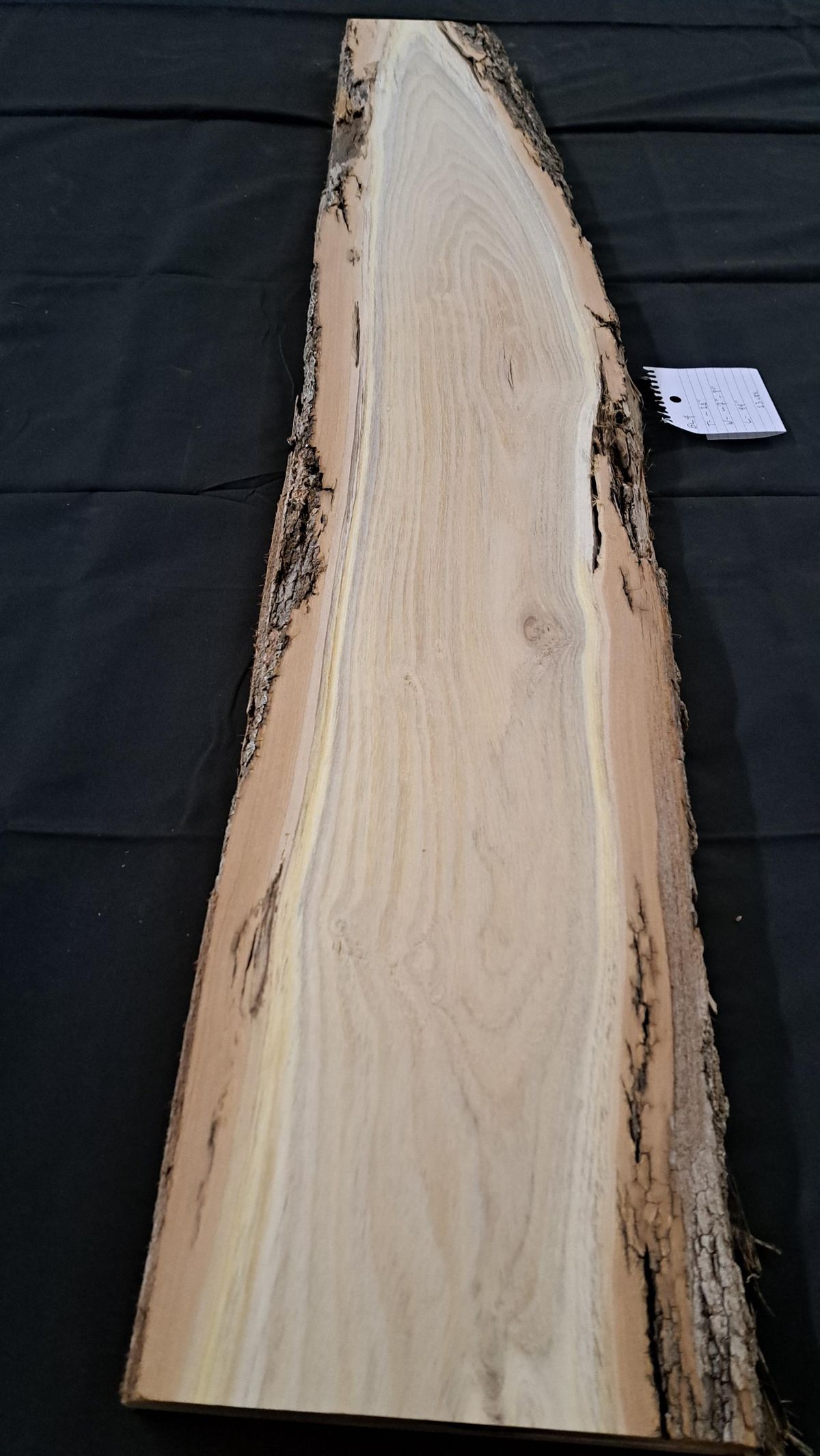 Black Locust / Robinia grain
