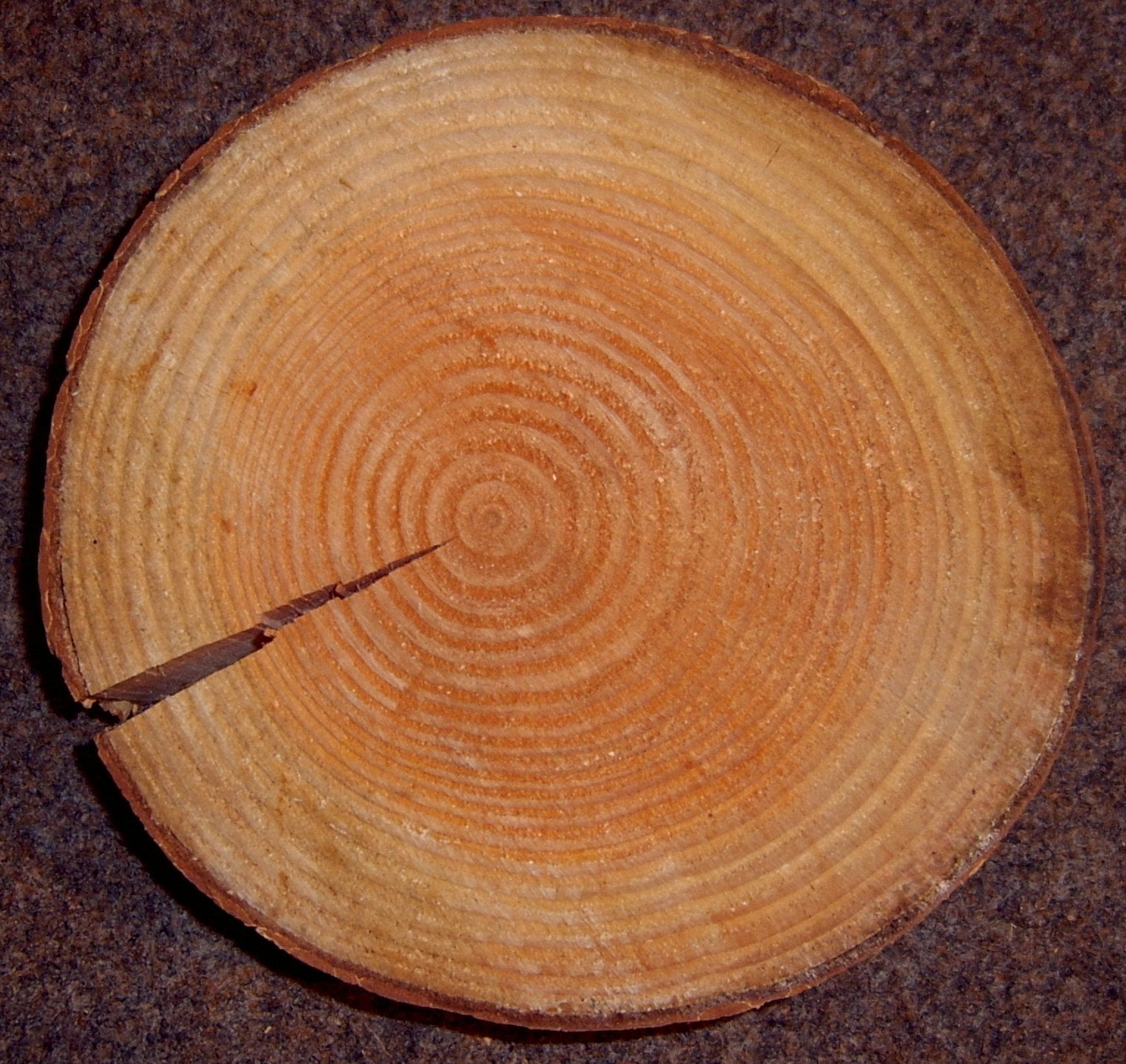 Douglas Fir grain