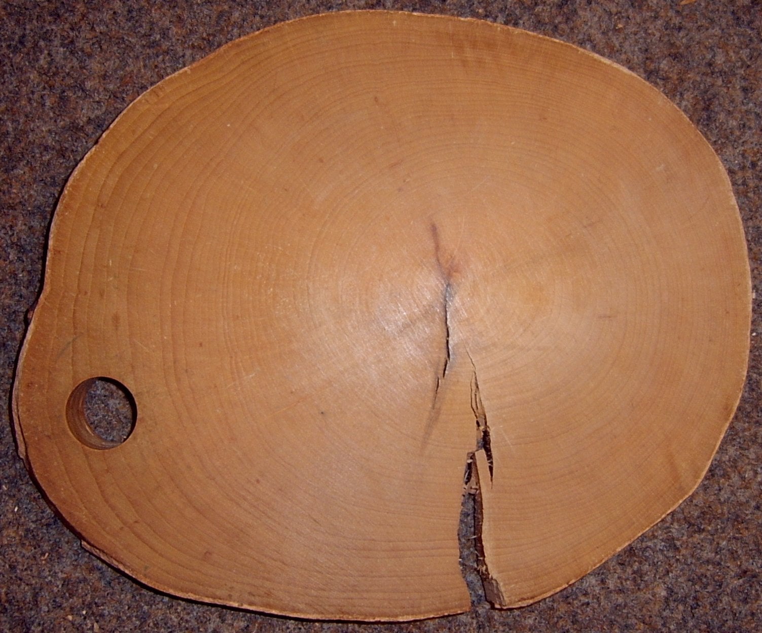 European Beech grain