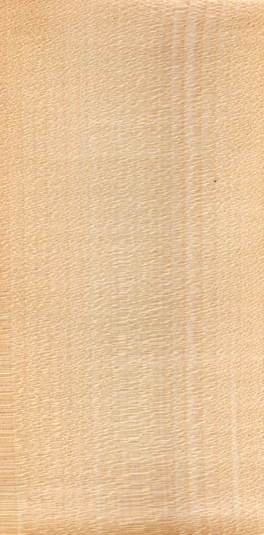 Sycamore Maple grain