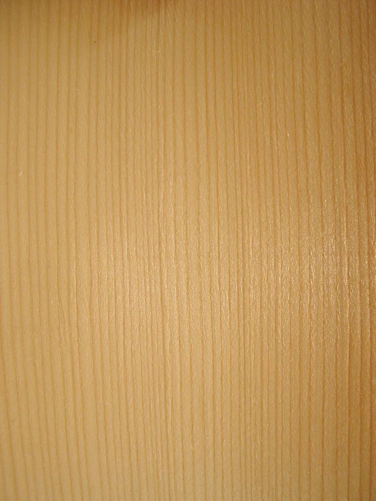 Norway Spruce grain