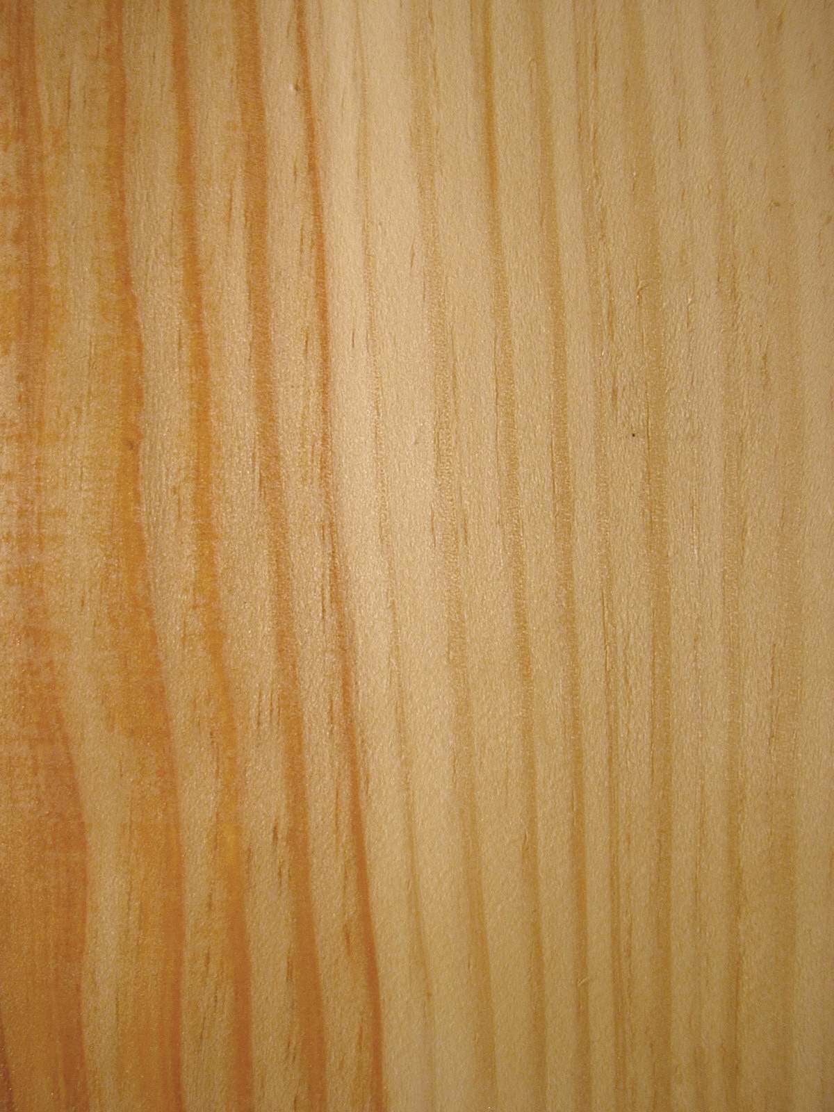 Scots Pine grain