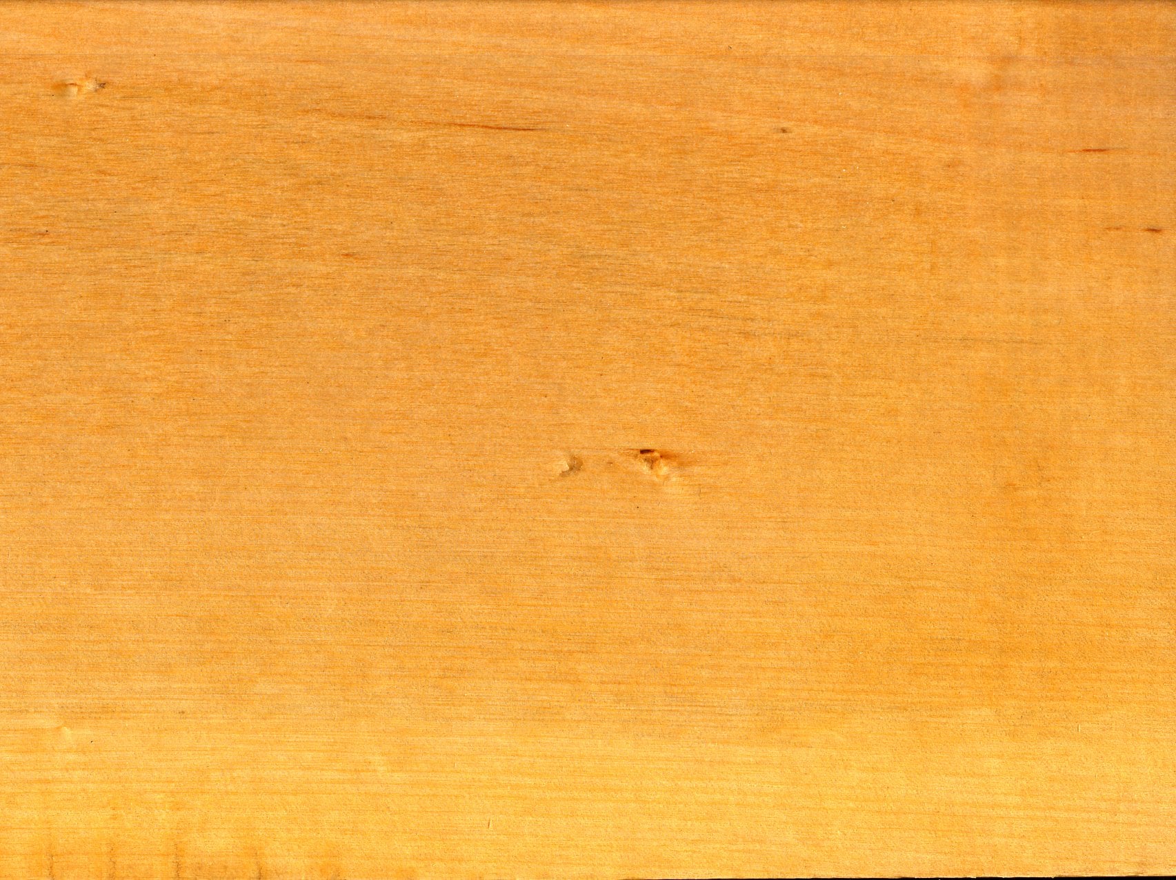 Silver Birch grain